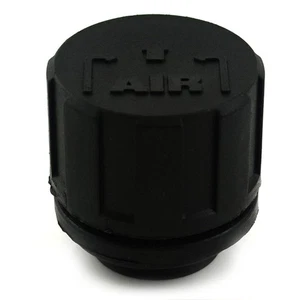 Dvr Ii Cap Charge (1,2,3a) - Picture 1 of 1