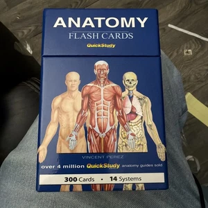 Anatomy Flash Cards - 300 Cards 14 Systems Vincent Perez - Picture 1 of 9