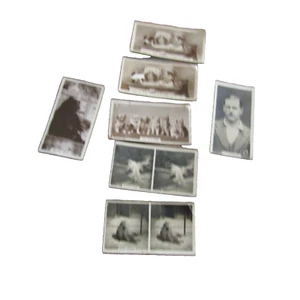 Vintage Mixed Lot Of 7 W.D. & H.O. Wills Cards From 1930s - Picture 1 of 7