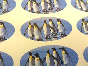 Penguin Oval Seal Labels, Stickers for Gift Wrap, Envelopes, Bags, Cards - Picture 1 of 3