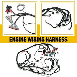 STAND ALONE WIRING HARNESS For T56 Non-Electric Tran 4.8 5.3 6.0 1997-06 DBC LS - Picture 1 of 8