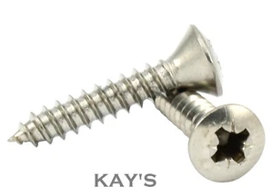 RAISED POZI COUNTERSUNK SELF TAPPING SCREWS A2 STAINLESS TAPPERS #4 #6 #7 #8 #10 - Picture 1 of 2