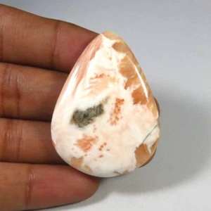 Scolecita Cabujón 43x32 mm Rojo Pera Lisa 49 Cts Gemas Scolecita Natural SC-148 - Imagen 1 de 11