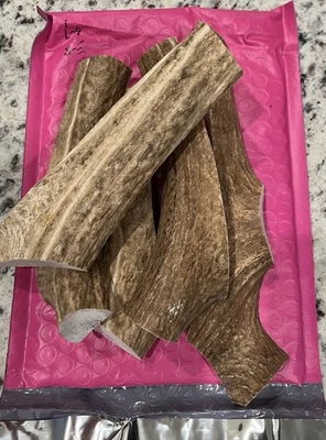 Quarter Split Elk Antler Dog Chews  Natural Brown Grade Sold by the Pound  - Image 1 of 2