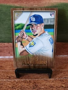 2018 Topps Gallery Willy Adames 🪵WOOD BORDER SSP 🔥 #66 RC RAYS