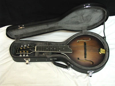 GOLD TONE GM-6+/L 6-string LEFTY electric mandolin GUITAR new w/ HARD CASE - Image 1 of 4