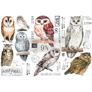 NEU Re-Design by Prima Decoupage Dekor Transfers 6x12" Eule - Bild 1 von 2
