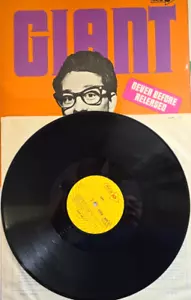 Buddy Holly Giant LP Album vinyl record rock 1969 on MCA Rock and roll - Picture 1 of 14