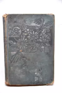 RARE 1889 A Girls Journey Through Europe Egypt and The Holy Land 1st Edition - Picture 1 of 10