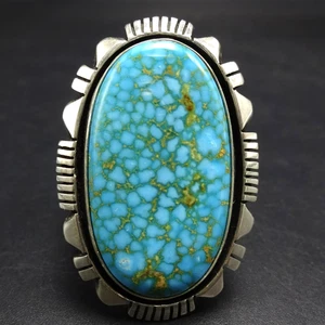 Big COOPER WILLIE Navajo WEBBED KINGMAN TURQUOISE Sterling Silver RING size 9.5 - Picture 1 of 18
