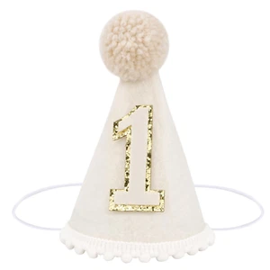 First Birthday Hat for Baby First Birthday Decorations, One Birthday Hat First B - Picture 1 of 12