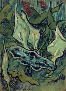 Vincent van Gogh, Death’s Head Moth, 1889 Hand Painted Canvas Oil Painting - Picture 1 of 2