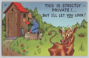 Humor Postcard This Is Strictly Private But I'll Let You Look - Picture 1 of 3