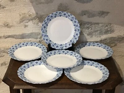 Lot de 6 assiettes à dessert, décor floral bleuté, LUMINARC - Photo 1/4