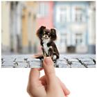 Papillon Dog Hairy Puppy Pet Small Photograph 6"X4" Art Print Photo Gift #15551