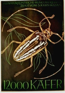Póster original vintage de BEETLES NATURAL HISTORY EXPO 1958 - Imagen 1 de 1
