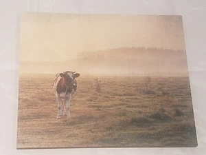 Primitives rustikales Bauernhaus junger Stier ""Kuh"" Holzschild - Bild 1 von 4