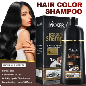 Black Hair Dye Shampoo,Instant Dye Shampoo,500g Hair Color Shampoo for Gray Hair - Picture 1 of 13