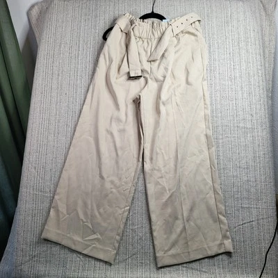Pantalones Ann Taylor Pierna Ancha Mujer Petite M Beige Cintura Alta Informales Plisados Foto 1 de 4
