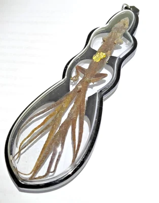 Amuleto tailandês 9Caudas Jingjok charme de riqueza rara magia sagrada sorte de jogo - Imagem 1 de 4