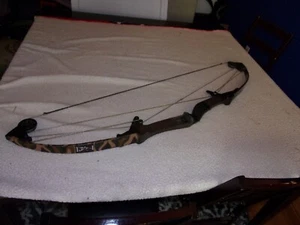Vintage Bear Whitetail Hunter Compound Bow - Picture 1 of 18