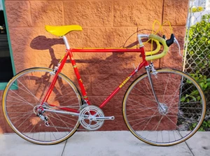 MEDICI PRO STRADA Bicycle 56cm Vintage Campagnolo Nuovo Record - Picture 1 of 14