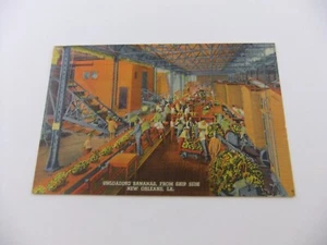 New Orleans Unloading Bananas Linen Postcard - Picture 1 of 4