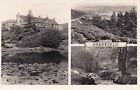 Vintage Postcard - Sheffield Rivelin Valley Endcliffe Woods Whirlow - c1954 RP