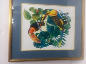 Bunter signierter Druck von Tukanen - Bild 1 von 4