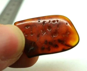 AMBRE des Baltiques 1,3 g de qualité supérieure - pierre naturelle véritable  - Picture 1 of 4