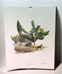 Richard Sloan, Roadrunner, Signed Print, 28x22, Wade Collection, Plate 20 - Picture 1 of 7