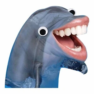Adesivo resistente alle intemperie delfino divertente divertente meme stickerbomb car design auto  - Foto 1 di 1