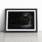 Black Cat With Yellow Eyes Animal Wall Art Print Framed Canvas Picture Poster
