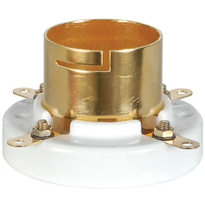 2 piezas 1 par de enchufes de tubo chapados en oro para 845 211, 805 western eléctrico VT4C - Imagen 1 de 1