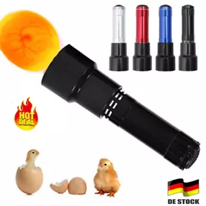 LED Prüflampe Schierlampe Bruteier Eierdurchleuchter-Eier Inkubator Brutmaschine - Bild 1 von 17