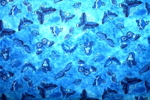 KINDRED CANINES BY LAUREL BURCH -   FLUTTERBYES IN BLUES ON BLUE - Picture 1 of 2