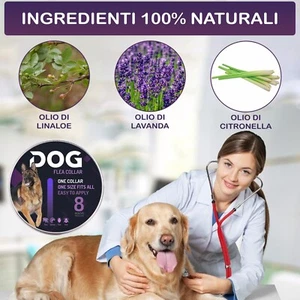 Collare antiparassitario per cani, Adatto tutte le taglie,(Due pezzi) - Foto 1 di 8