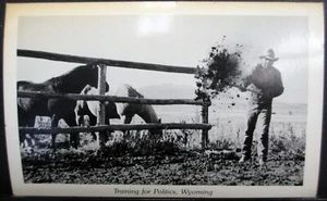 VINTAGE 1960s COMIC POSTCARD, TRAINING FOR POLITICS IN WYOMING - Picture 1 of 2
