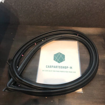 TOYOTA Lexus GS300 ARISTO Weatherstrip puerta delantera izquierda genuina 67862-30251 Foto 1 de 2