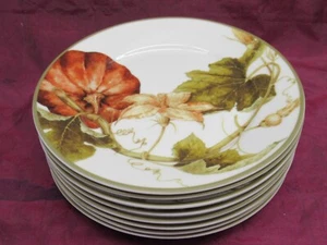 8 piatti da dessert insalata 8,75" Botanical Pumpkin by Williams Sonoma - Foto 1 di 6