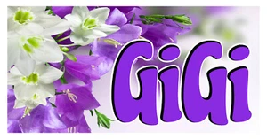 GiGi License Plate, flowers, Vanity Personalized License Plates - Picture 1 of 2