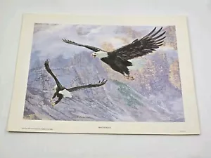 Vintage 1975 Kunstdruck Weißkopfadler fliegend 11 x 14 Zoll Tom Beecham - Bild 1 von 6