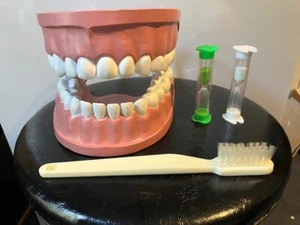 Vintage Giant tooth teeth brushing dental education school teaching model - Picture 1 of 7