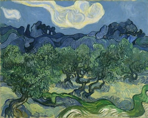 VINCENT VAN GOGH Art Poster or Canvas Print "The Olive Trees" - Bild 1 von 1