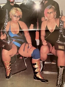 1985 Dump Matsumoto and Bull Nakano Poster 25.4cm × 38.9cm The Queen of Villains - Picture 1 of 6