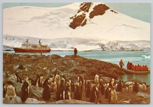 1974 MS Lindblad Penguin Rookery Antarctic Peninsula 4x6 MINT Postcard - Picture 1 of 2