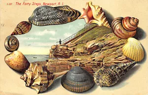 Newport RI Langsdorf Publisher Shell Border "The Forty Steps" Postcard - Picture 1 of 2