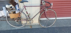 Vintage 1970’s Nishiki Men’s Road Bike - Picture 1 of 15