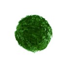 Wachsmalstifte 12 Stück im Karton - olivgrün