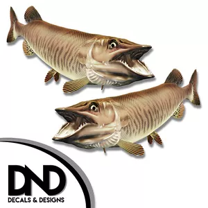 Tiger Musky - Fish Decal Fishing Tackle Box Bumper Sticker "3in SET" F-0900 D& - Bild 1 von 1